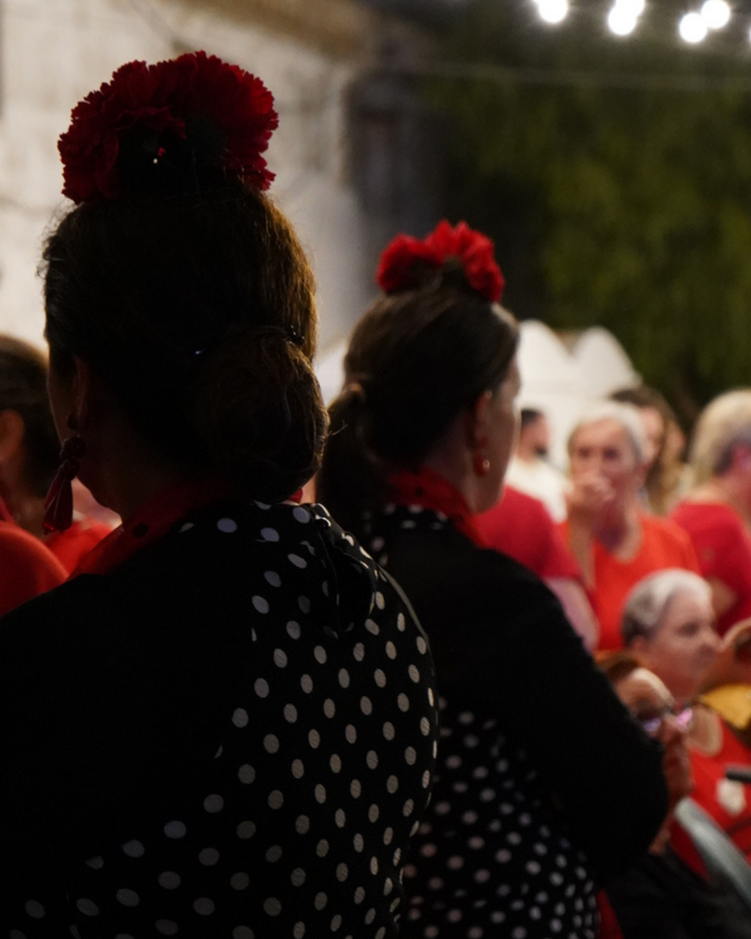 Flamenco Food Festival en Zahara de los Atunes · Miércoles 15 · fotografía 6